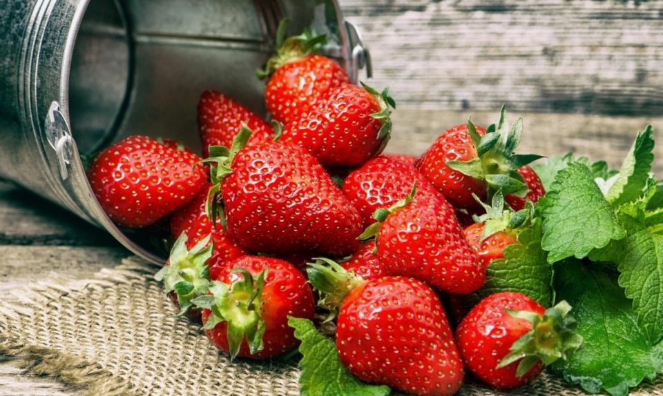 ��� ����������� �������� � ����: ������� ���� ��� �������� ������