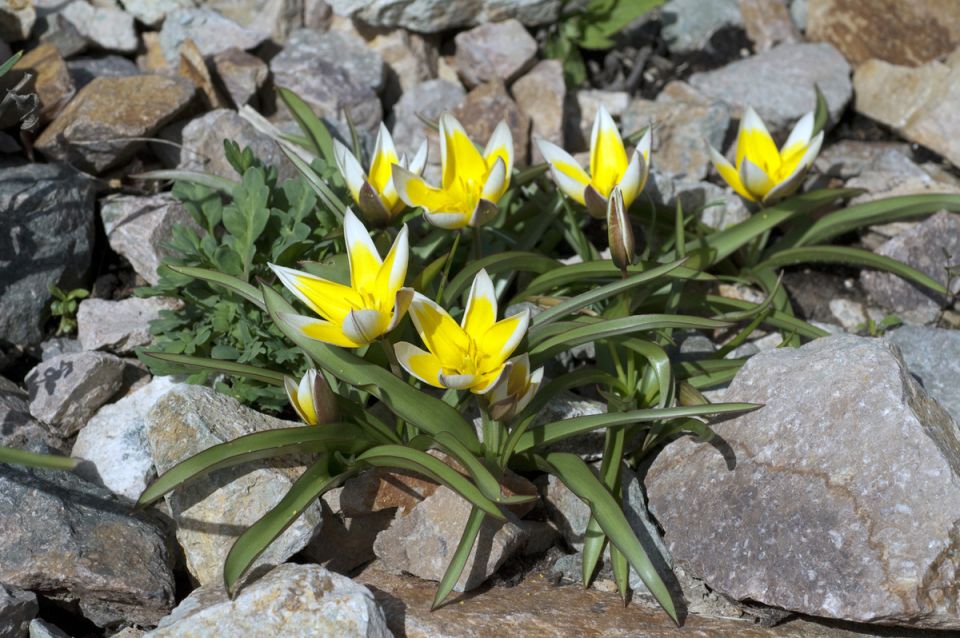 ��������, ������� �������� �������� ���: �����, ���������� ����� � ����