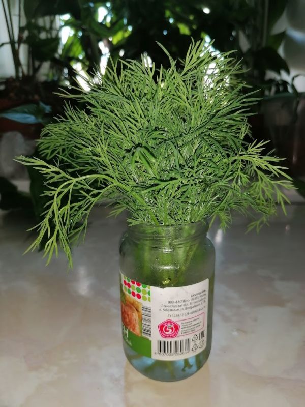 ��� ��������� �������� �������: �������� ������ � ���������������� ������