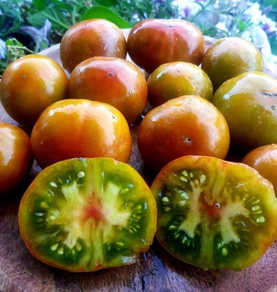 ����� ���� ��� ������: ��������� �������� ��������� ������ ����������� �����