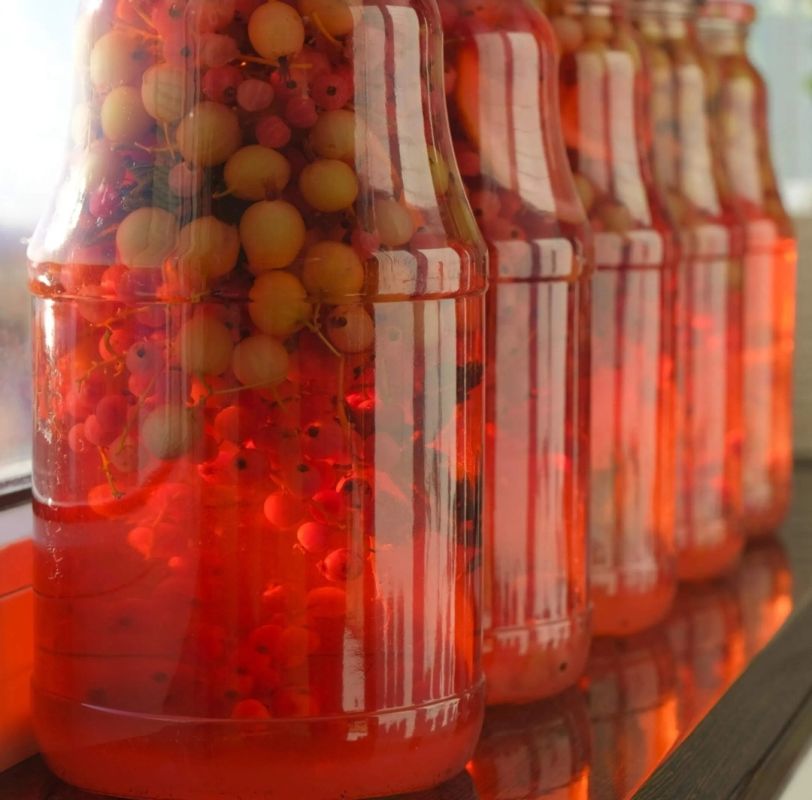 Мохито с крыжовником из банки: спокойный рецепт летней свежести