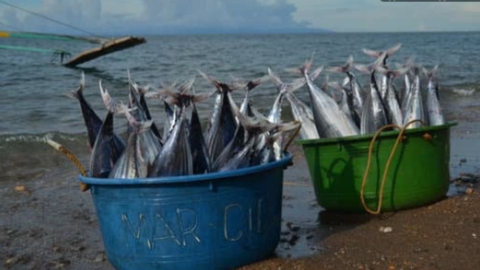 ����� � ��������� ������� ��� ������ ������: ��� �������, ��� ���������� � 5 ������� ��������