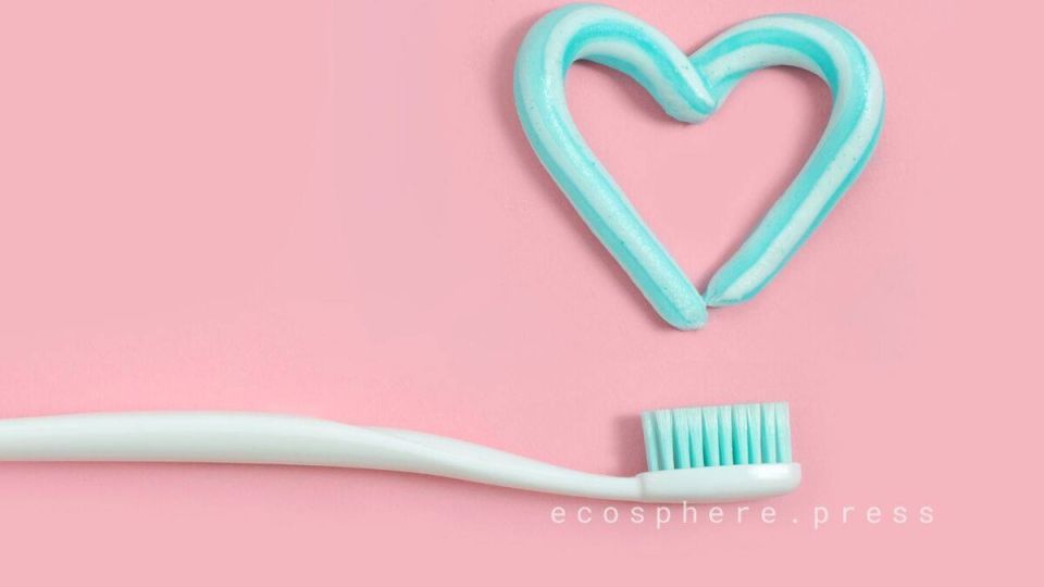 ������ ������ �� �����: ��� ������ ������������ � �������� ����������