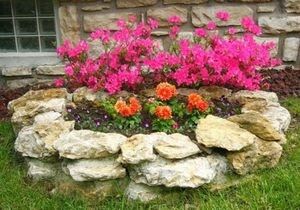 Создание розария своими руками: секреты успешного цветника