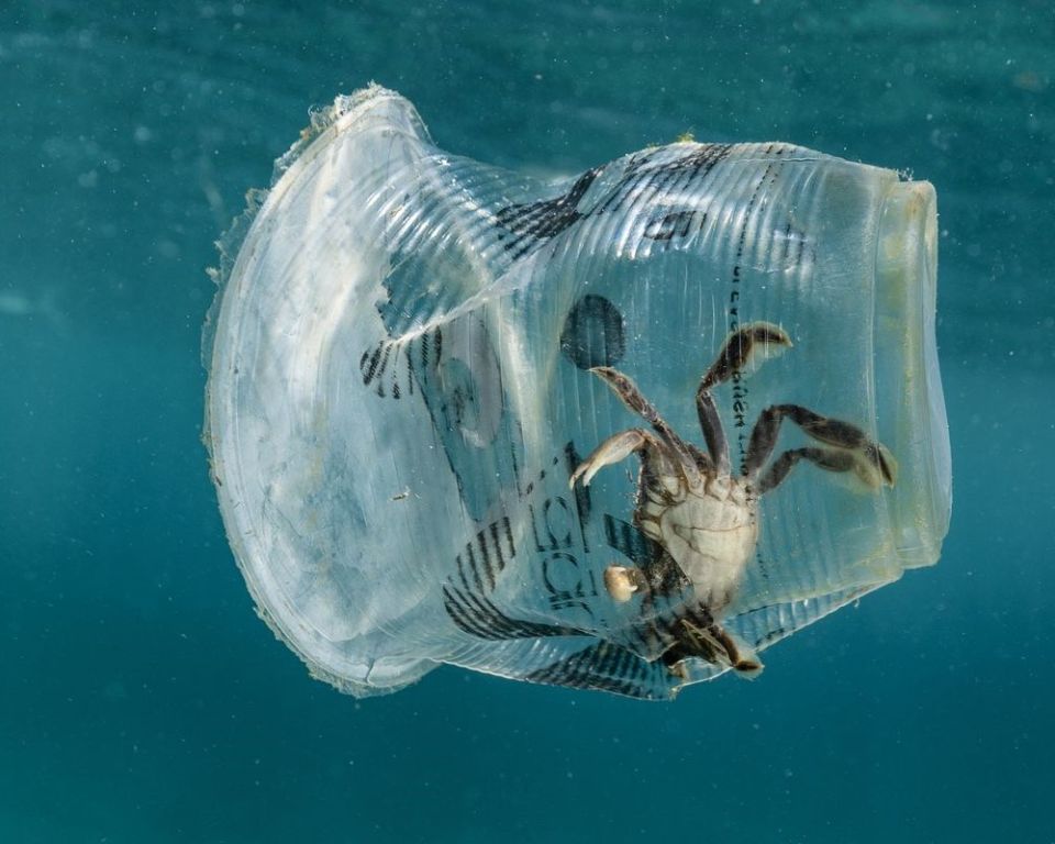 ��� The Ocean Cleanup ������� � ����������� ������������ �������
