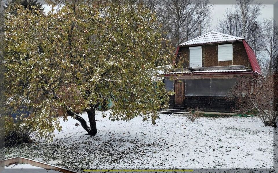 Зимние заботы дачника: как подготовить сад к холодам