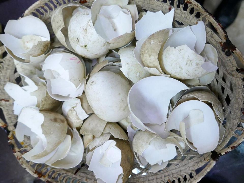 ������� �������� ������: ��� ������ �������� ����������� ��� ���