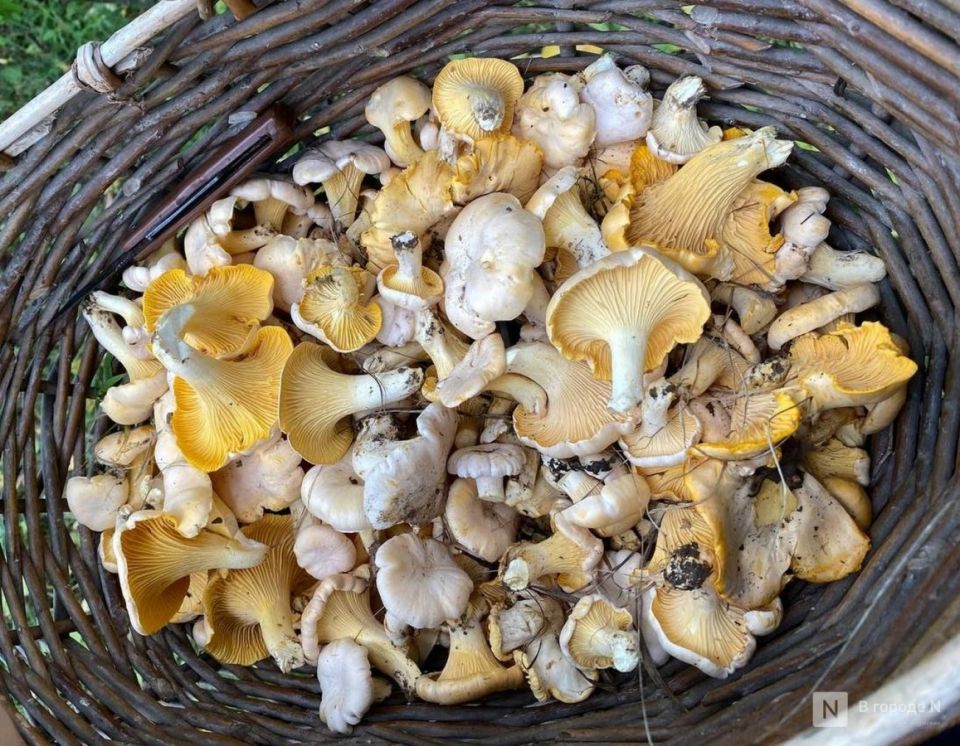 ������������� �������� ���������� ���� ���� ���� � ������