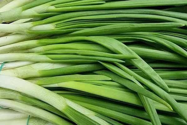 ��������� ���: ����������� ����� � ������ �� �����