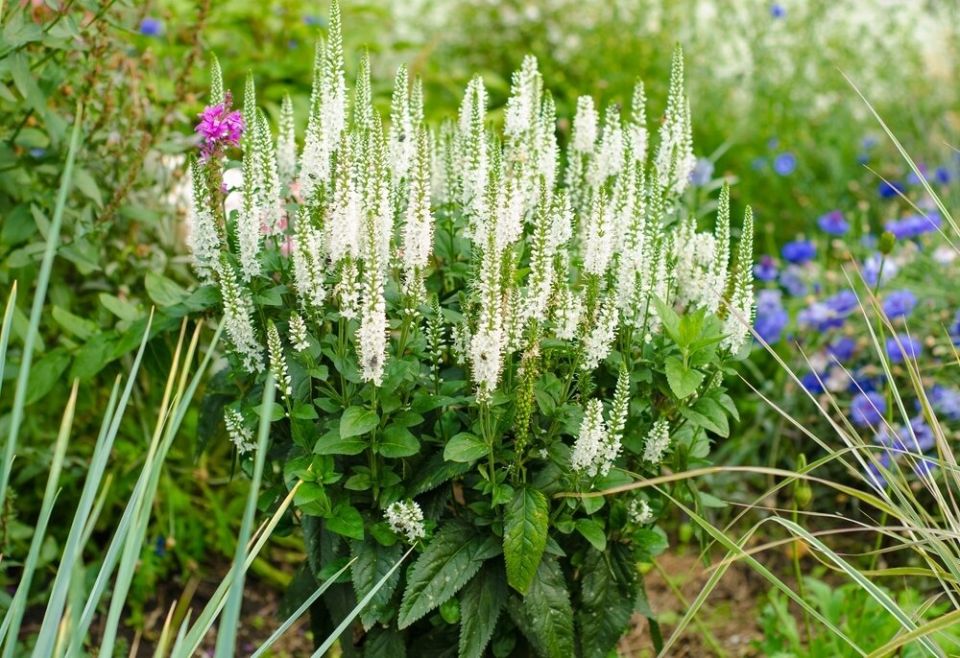 �������� ����������: ����� ������� ��� ������ ����