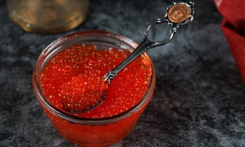 � ������� ���� �������� �������� ������ �������� �������