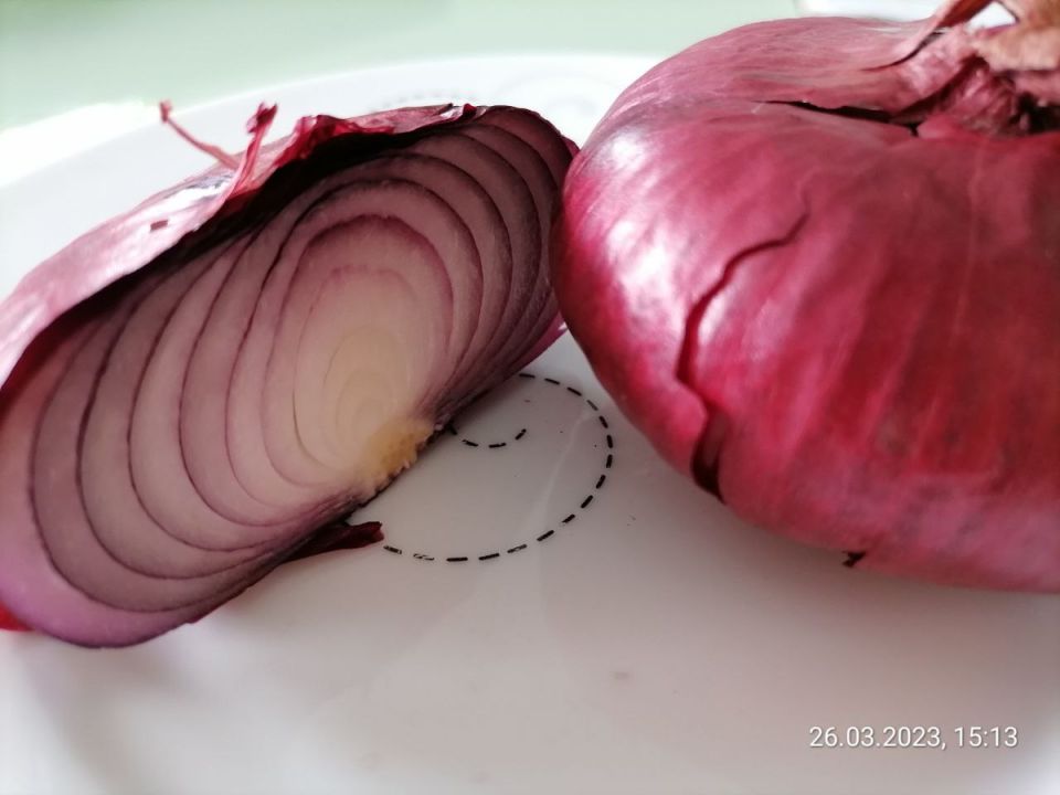 ��� �������� ���� ������ �� ������ ��������� ����: ����������� ������ � ���