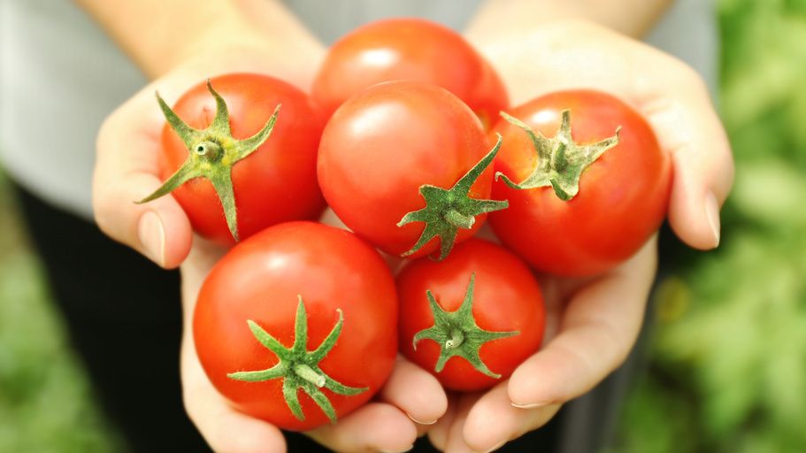 ������, ������� �� ��������� ������: ������������� 2026 ����