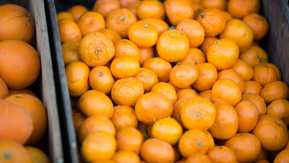 ������� �� ������ ��� �������: ���� ���� �� ���������� ������� ������