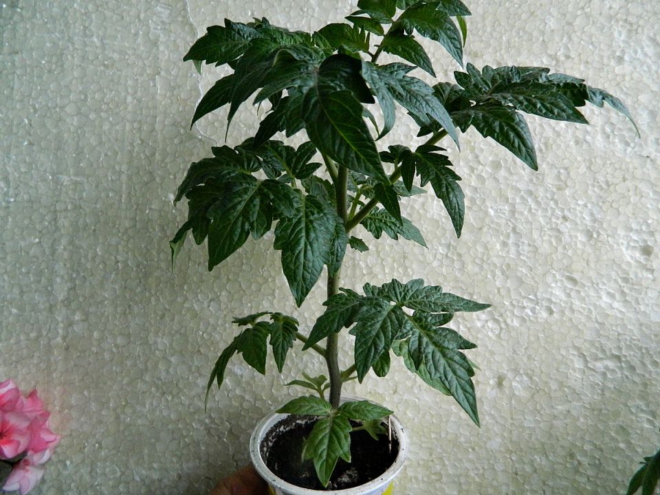 ����� ���������� ������� � ����� 2026: �������� ������������� ��� �� ������� ���������