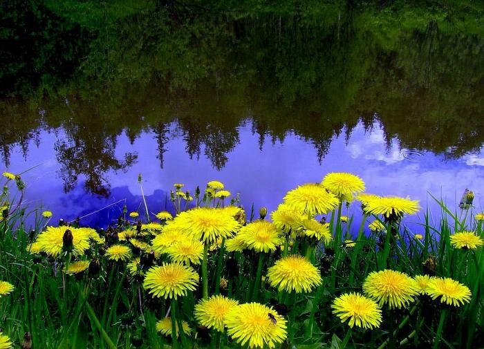 ��� ������ � ���������� ���������� � ������������ �� ����