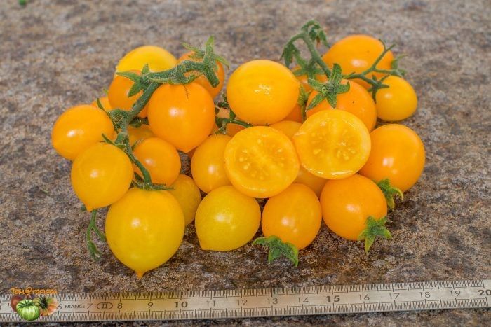 ����� �����: ���������� ������� ��� ������ �������