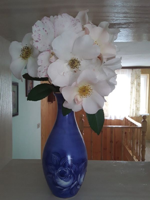 ���� Sally Holmes: ���������� �������� � ��������� � ���� ���������