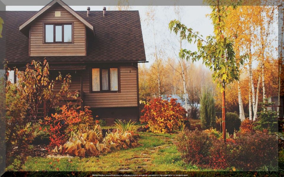 ����������� ���� ������� � ����: �������� ������ ��� �������� � �������