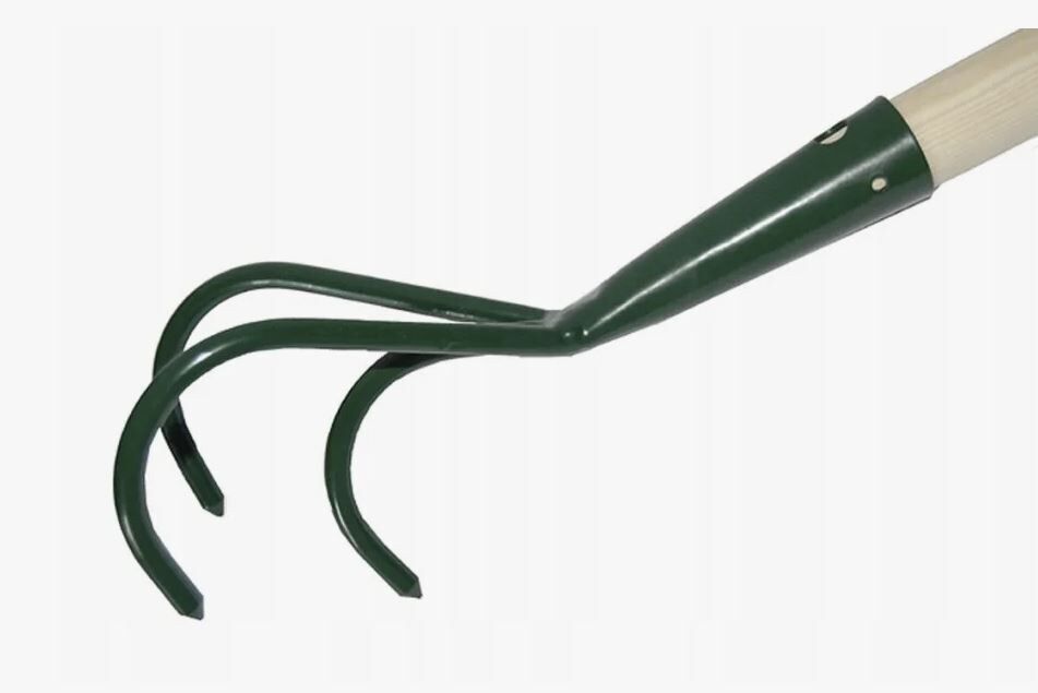 5 ������������ ��� ����, ������� ��������� ���� ����� � ������