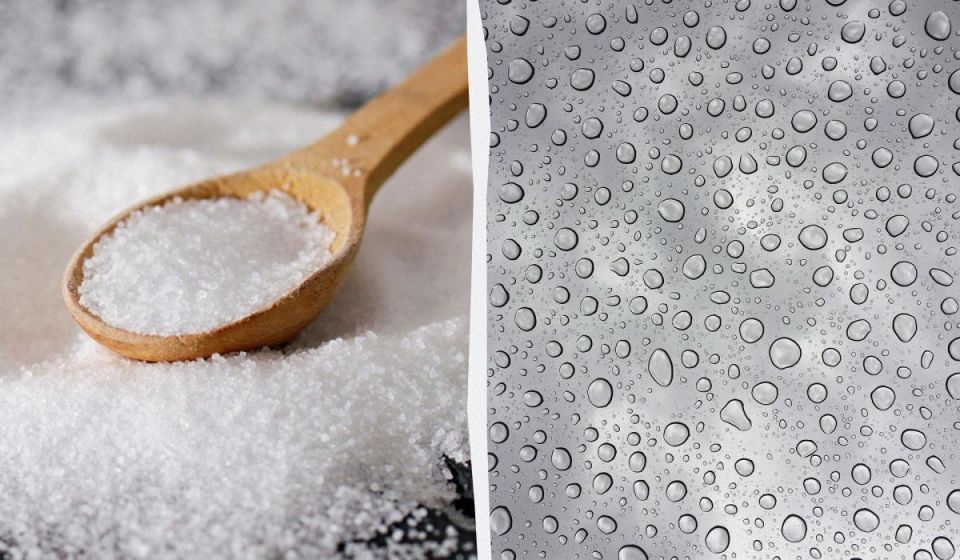 Как избавиться от конденсата на окнах: простые рецепты для уюта в доме