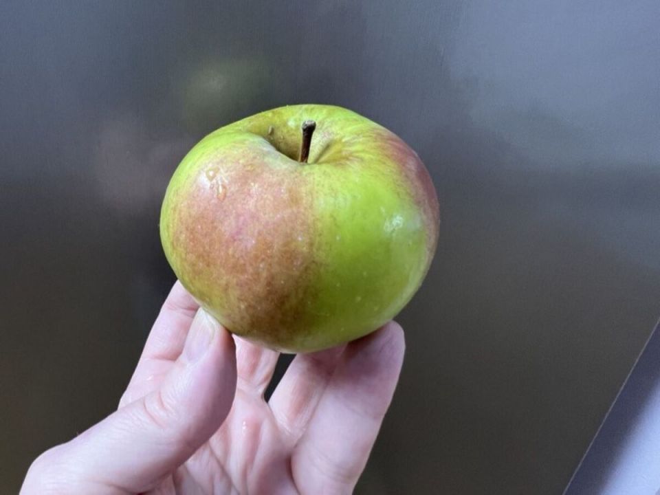 Как спасти свой урожай от плодожорки за 3 простых шага