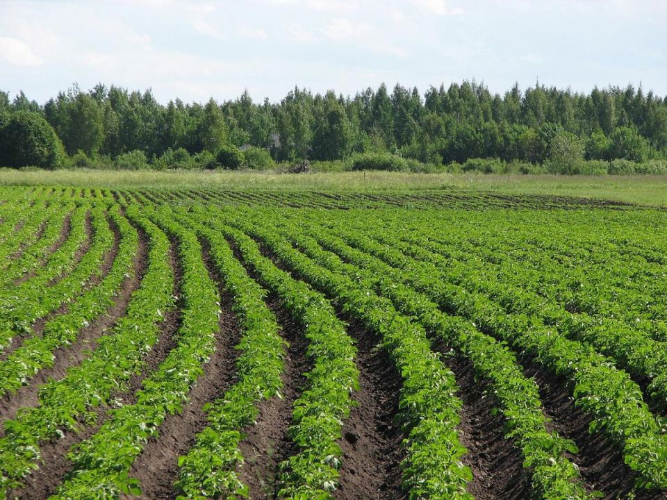 ��� ������������ ����� ����� �������� ��� ������� ������