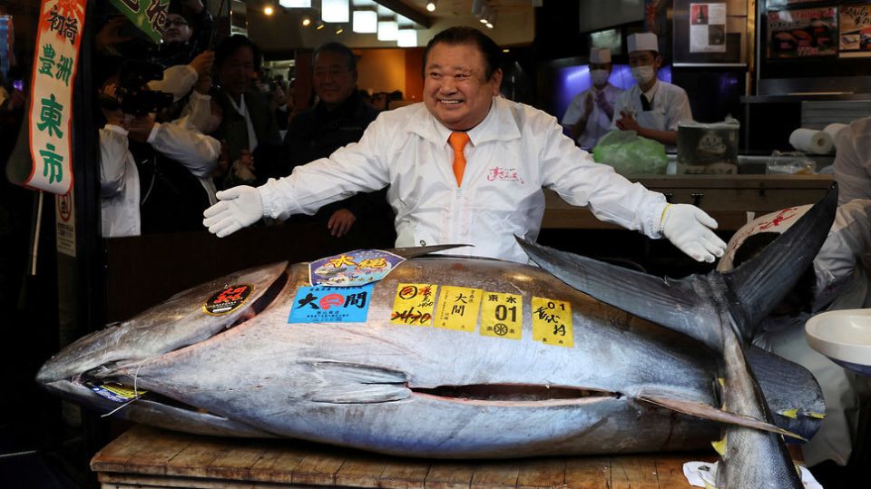 ������� ����� �� �������� � �����: ����� ������ �������