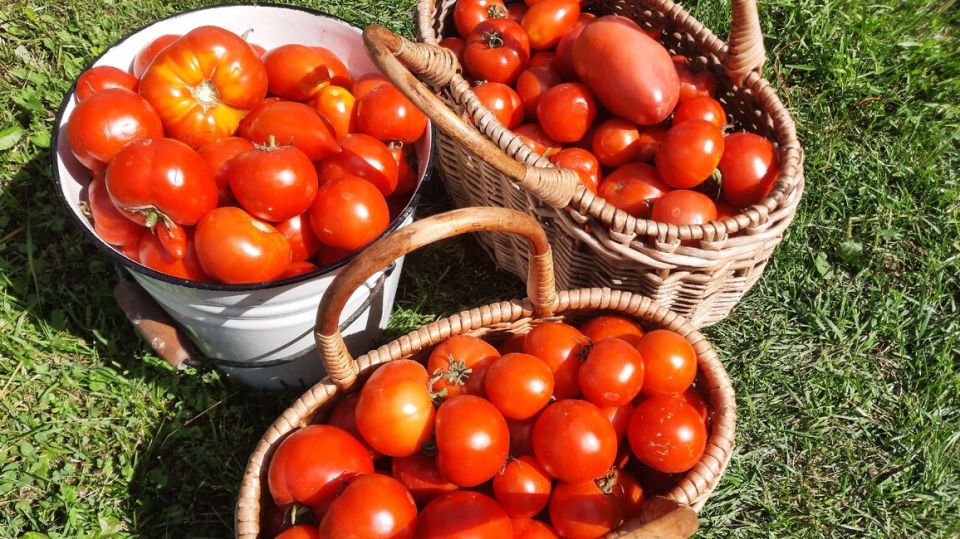 �� �������� � ���������: ��� ������� ������ ����� ������� �� ������